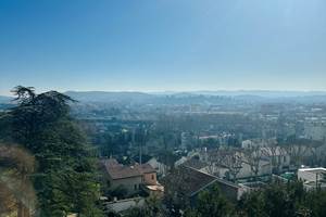 IMG_4234 2