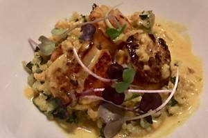 voorgerecht risotto scallops 2