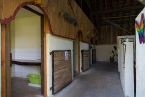 dwkscuifcetab7chnnkn (1)