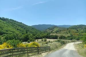 IMG_20260612_143238_044