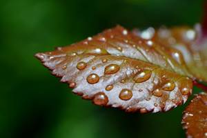 jour_de_pluie