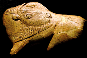 Le Bison de la Madeleine, (Musée de la Préhistoire des Eyzies)