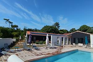 La piscine et ses bains de soleil