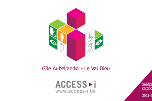 access i