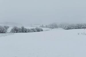 L'Oasis sous la neige