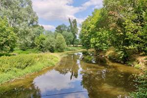 bourogne-tourisme-campingcar-atypique-original-rivière-tournus-eaunes-cluny-solutré-vignes-vignobles-macon-vélo-randonnée-prochedelyon-france-saoneetloire-famille-avecenfants-allinclusive-messeugne-savignysurgrosnes-cathédrales-brancion-pleinair-camping-restaurant-patrimoine-activités-gastronomie-vins-châteaux-randonnée-convivialité-jeuxpourenfants-animations-bistrot-chaleureux-menu-restauration-cuisinefrançaise-bourguignon-vacances-convivialité-71-voiebleu-voieverte