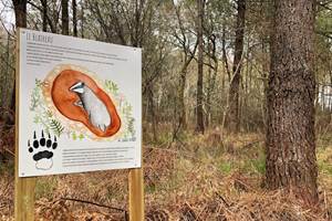 Panneau pédagogique sur la faune et la flore