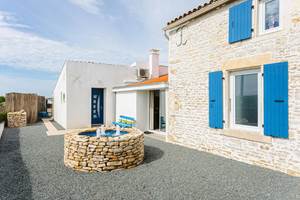 Extérieur Koala (3)