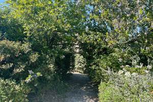 jardin3