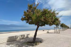 Promenade face à l'océan