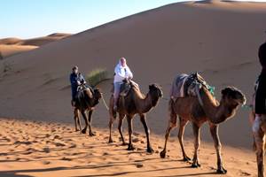 Randonnée chamelière 2