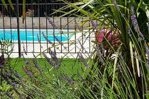 Vue piscine depuis le jardin méditerraneo-provençal du gîte Rires de Provence