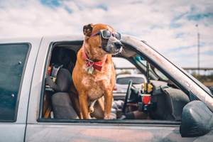 istockphoto-940915736-612x612