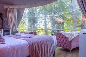 Intérieur dôme étoile filante