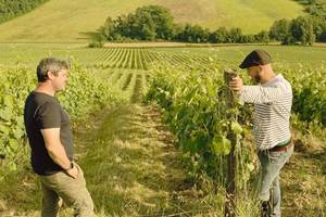 Domaine Laougué visite dans les vignes