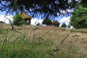 les maisons de Coline - prairie fleurie - tonte raisonnée - vacances écologiques