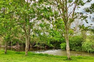 bourogne-tourisme-campingcar-atypique-original-rivière-tournus-eaunes-cluny-solutré-vignes-vignobles-macon-vélo-randonnée-prochedelyon-france-saoneetloire-famille-avecenfants-allinclusive-messeugne-savignysurgrosnes-cathédrales-brancion-pleinair-camping-restaurant-patrimoine-activités-gastronomie-vins-châteaux-randonnée-convivialité-jeuxpourenfants-animations-bistrot-chaleureux-menu-restauration-cuisinefrançaise-bourguignon-vacances-convivialité-71-voiebleu-voieverte