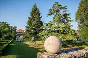 LES ARBRES :  NOUS EN PLANTONS PLUSIEURS DIZAINES CHAQUE ANNEE