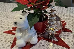 Ours blanc de Noël attend sagement