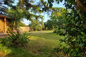 Le jardin avec ses murs d'enclos