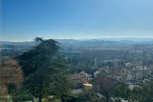 IMG_4233