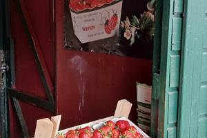 Wépion, pays de la fraise...