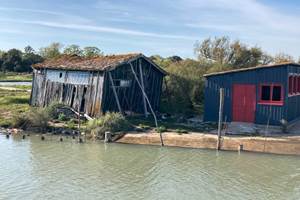 Les cabanes d'huîtres