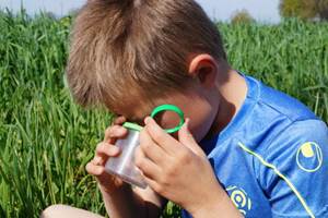 observation de la biodiversité. Ferme des Délices