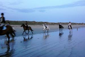 balade à cheval sur les plages d'Erdeven (Moopy en arrière plan)