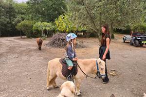 Balade à poney accompagnée