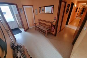 AU COEUR DU VOLCANTAL