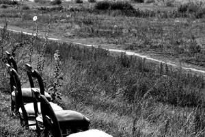 Détente en bord de Loire