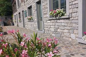 fa746ecf-b651-4f5f-a71c-4e1c19690439