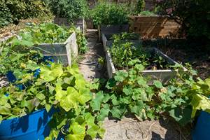 ma permaculture