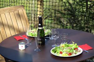 Repas sur la terrasse avec vue sur le lac