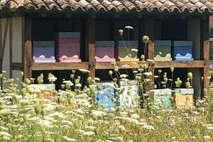 RUCHER DANS LES VERGERS-POTAGERS