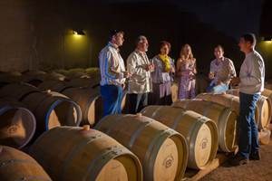 Dégustation vignobles France