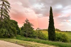 IMG_1550