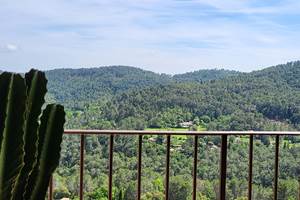 La Suite Natura - Vue terrasse