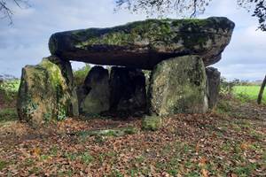 les traces de nos ancêtres