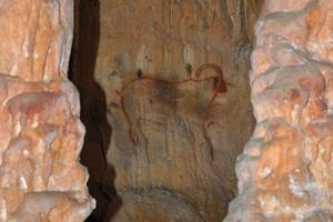 Grottes de cougnac - Gourdon - Bouquetin