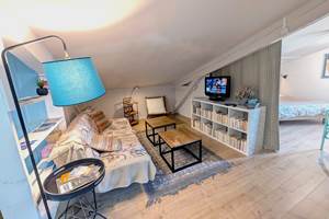 salon TV NETFLIX 16 Bis gite hotel-marssac-albi-terssac