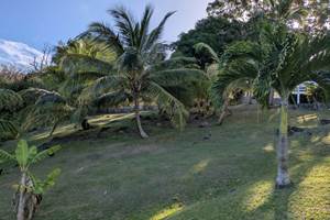 caa5adbe-fa99-4423-a676-736a221ad395