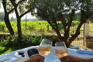 a_lombre_de_la_cheneraie_gite_spa_vignoble_grand_pic_saint_loup-le_puech_apero