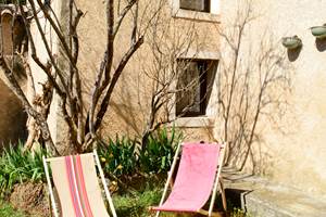 Thym terrasse