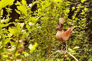 Un oiseau rare Cote Verger