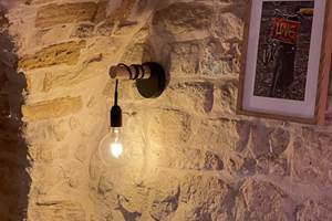SALON de´tail lampe+tableau