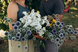 bouquet-fleurs-sechees-francaises-terralya