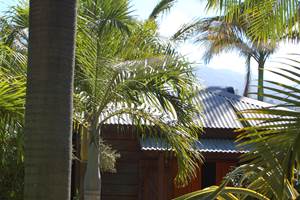 BUNGALOW HIBISCUS DANS LE JARDIN