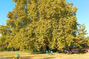 Gîtes, chambre d'hôtes et table d'hôtes gastronomique à Casteljaloux Lot et Garonne, piscine, jacuzzi et spa